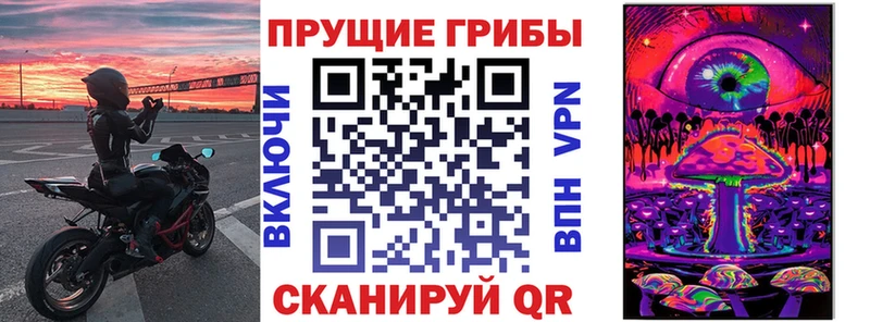 купить наркотик Назарово Галлюциногенные грибы Cubensis